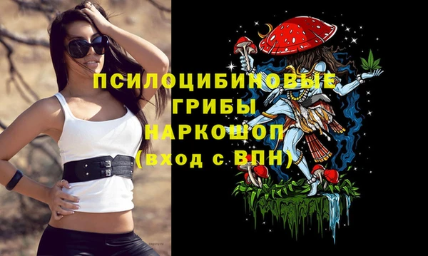 стафф Аркадак