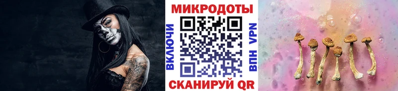 Галлюциногенные грибы GOLDEN TEACHER как найти Красноярск