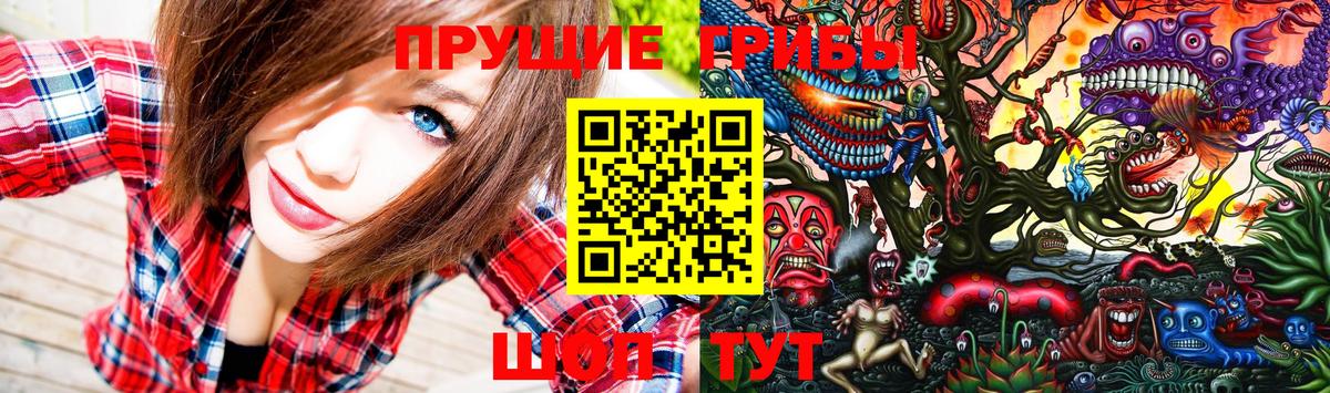 Псилоцибиновые грибы прущие грибы  Вход с VPN  закладки  Галлюциногенные грибы Psilocybine cubensis  Красноярск 