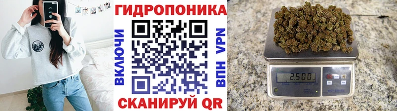 купить наркотики сайты  Красноярск  Каннабис OG Kush 