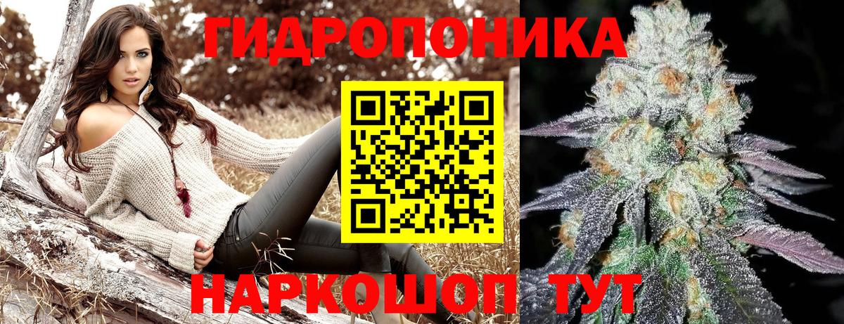 Каннабис сатива Красноярск